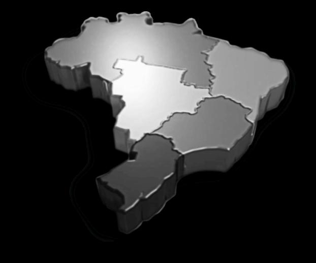 Mercado de capitales brasileño La seguridad y la integridad del mercado como prioridades Mercados de capitales y productos derivados en Brasil las características del mercado de intercambio en Brasil