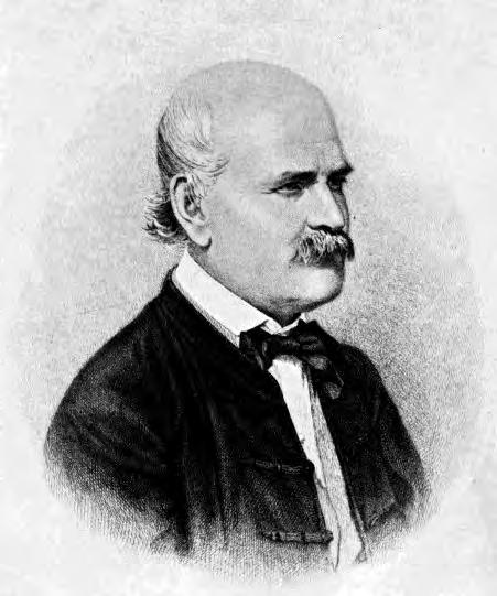 En el interior del Hospicio General de Viena puede verse la estatua de un hombre sobre un pedestal que representa al profesor Ignaz Semmelweis.