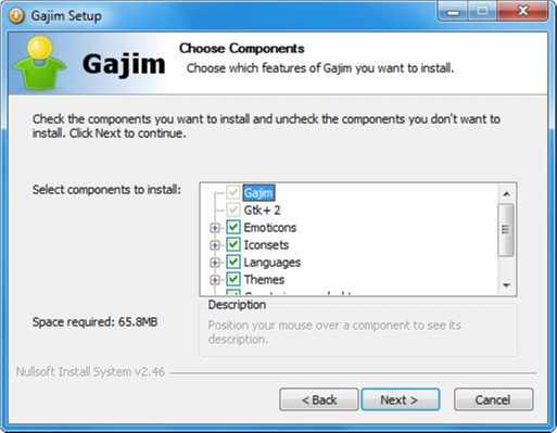 Selección de componentes Algunos programas tienen funciones opcionales que puedes instalar, o no.