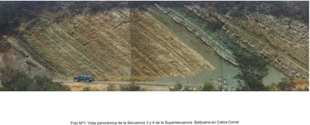 La base de la Secuencia 4 es considerada el registro sedimentario más importante para la producción de hidrocarburos del flanco sur (Subcuenca de Lomas de Olmedo).