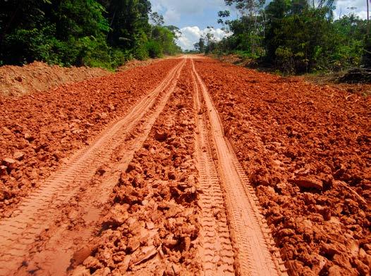 Monitoreo de la Cobertura Forestal en la Región Amazónica Año 3. Número 04.