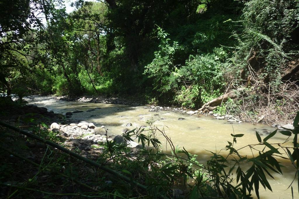 Río Amatzinac, tomado desde una de las