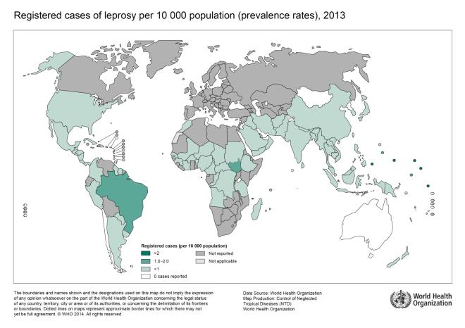 Gráfica 1. Incidencia Mundial de Lepra por 100.000 hab y Prevalencia Mundial de Lepra por 10.000 hab. 2007-2013 Fuente: Global leprosy update, 2013; reducing disease burden.