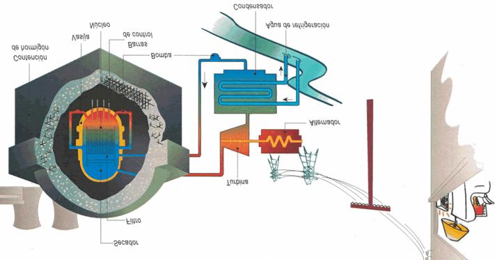 COMPONENTES Núcleo del reactor Es la zona en la que se encuentran las barras de combustible y las barras de control rodeadas por el moderador, en una distribución adecuada, de modo que cuando éstas