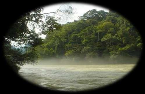 ANP: Parque Nacional Río