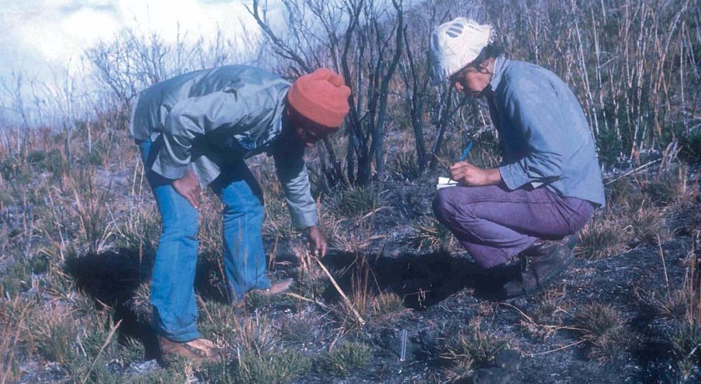 Uno de los estudios que Adelaida efectuó en el Parque Nacional Chirripó fue el de la sucesión de la vegetación después del incendio de 1976.