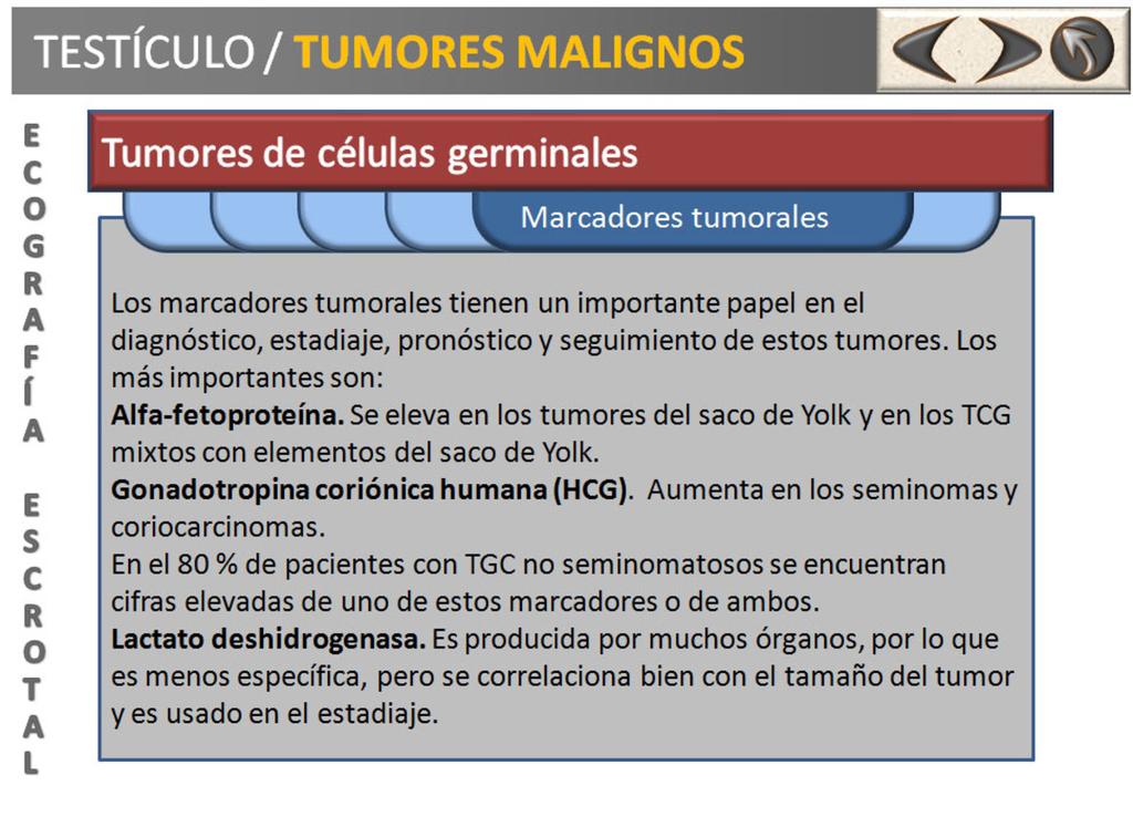 Fig. 13: Información acerca de marcadores tumorales.
