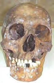 En la tercera clase, las modalidades que agrupan a los cráneos evaluados se asocian con un rostro de mediana longitud y anchura.