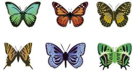 de vuelo que controlan las alas y las patas. El abdomen alberga el aparato digestivo, excretor y reproductivo de la mariposa.