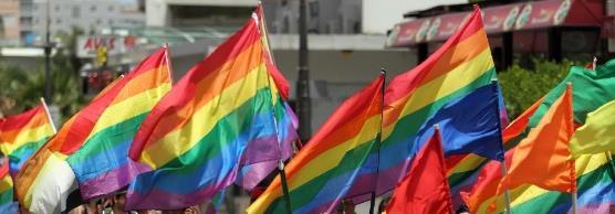 INFORME RESUMEN SEGMENTO LGBT Observatorio Integral de la