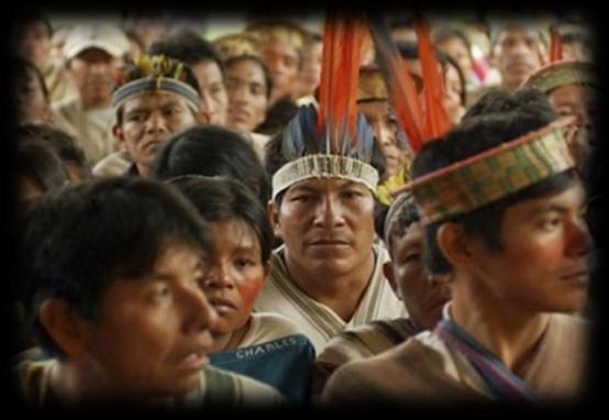 QUIÉN DEBE SER CONSULTADO? Se consulta a los Pueblos Indígenas, a través de sus organizaciones representativas.