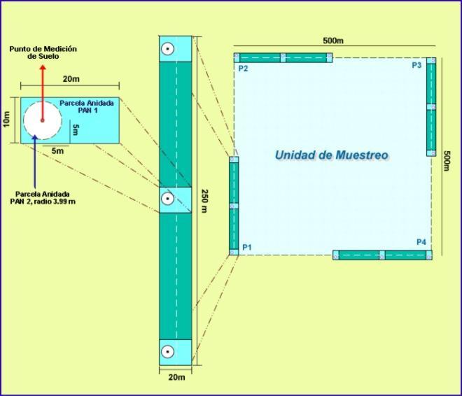 6 Figura 2. Diseño de las parcelas del Programa NFMA, tomado del documento Resultados del Inventario Nacional Forestal de Nicaragua 2007-2008 Parcela Cuadro 2.