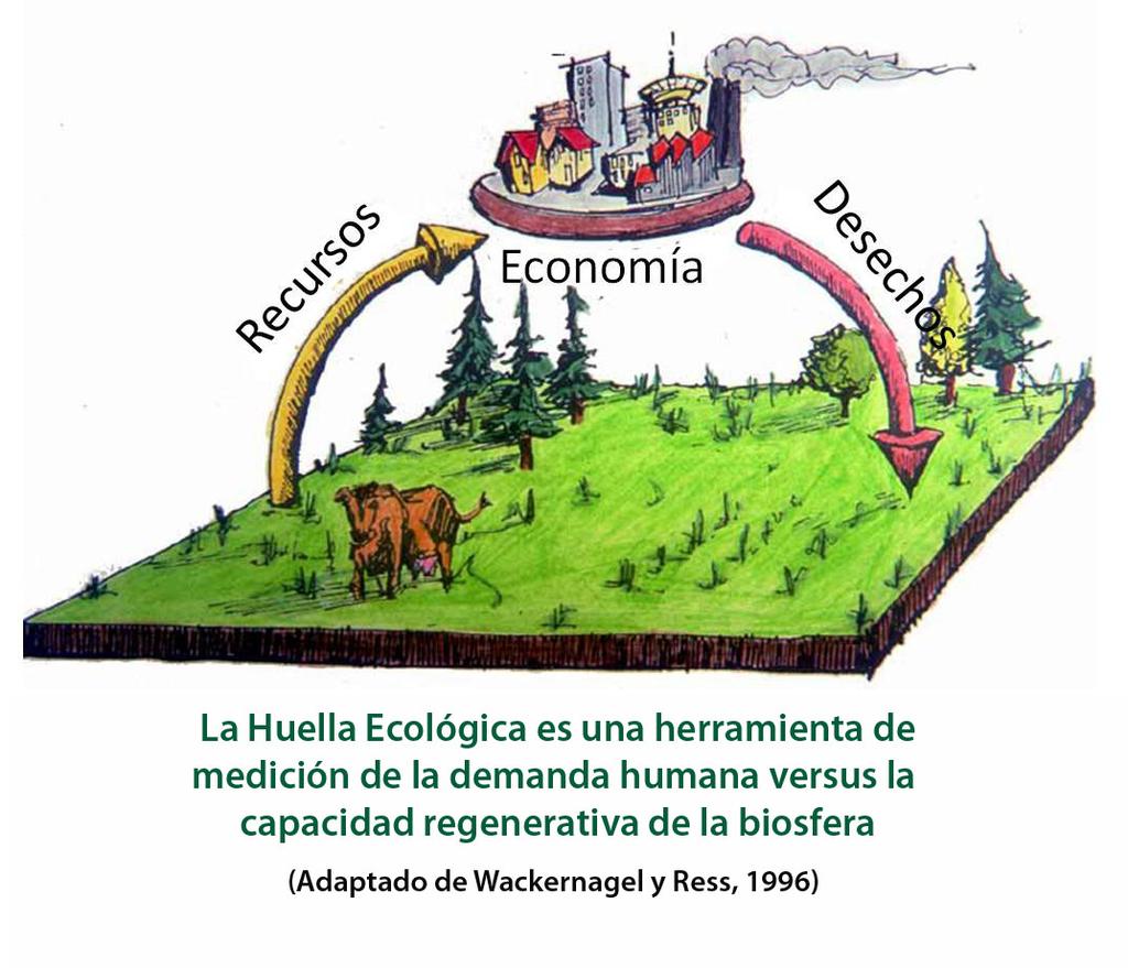 A biocapacidade do planeta por cada habitante estimouse en 1,8 ha, ou o que é o mesmo, se tivésemos que repartir o terreo produtivo da Terra en partes iguais, a cada uno dos máis de 7000 millóns de