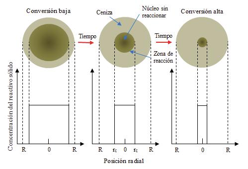 3.3 MODELOS CINÉTICOS 3.3.1 Modelo del núcleo que se reduce sin reaccionar A menudo la cinética de disolución de la lixiviación de minerales se describe con este modelo.