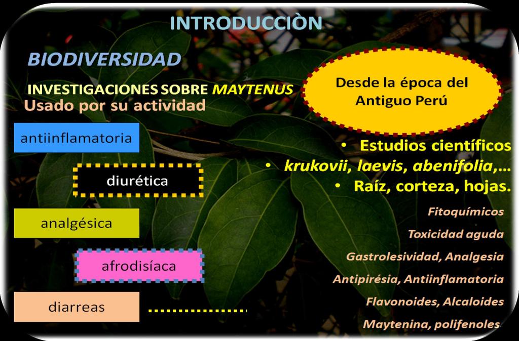 Propiedades Medicinales De Las Hojas De Pdf Free Download