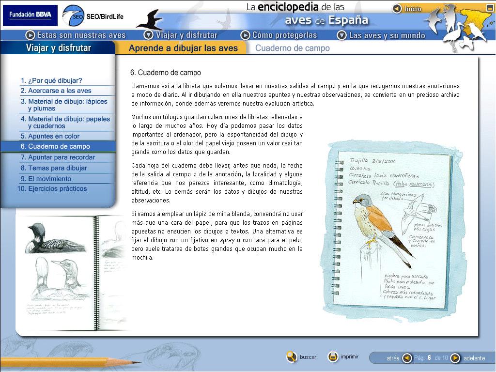 2.7. Aprende a dibujar las aves (AEG) Taller de iniciación al dibujo e