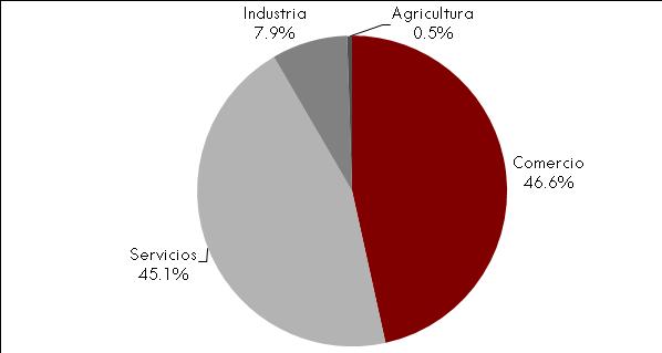 Figura 8. Distribución de las unidades económicas Costa Sur. Octubre 2013 Fuente: IIEG, con información de INEGI, DENUE.