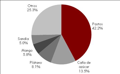 5%, y el Plátano con $259 260,000, 8.1%. Figura 10. Distribución de los principales productos agrícolas. Costa Sur 2013 Fuente: IIEG, información de SIAP / SAGARPA - OEIDRUS.