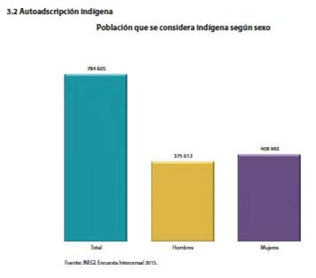 De los porcentajes más altos de la población que se considera indígena, por delegación, sobresale Milpa Alta (20.3%), Tlahuac (14.6%), Xochimilco (12.4%), Tlalpan (11.