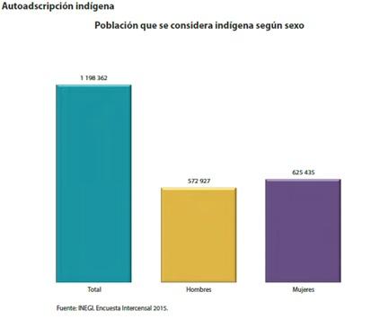 indígena, son: Cochoapa el Grande (99.1%), José Joaquín de Herrera (98.