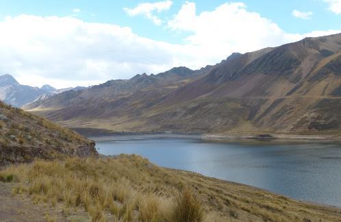 Pajonal alto andino de la Puna Húmeda Este tipo de cobertura vegetal está conformada mayormente por herbazales ubicados en la porción superior de la cordillera de los andes, aproximadamente entre