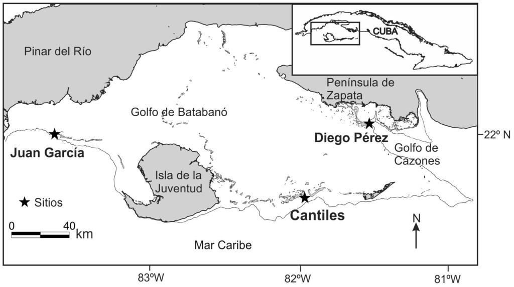 Macroalgas en arrecifes coralinos de Cuba 325 22º N 83º O 82º O 81º O Figura 1. Localización de los tres arrecifes coralinos de la plataforma sudoccidental de Cuba estudiados.