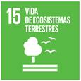 Avances implementación: Inclusión ODS en los Planes de Desarrollo Territorial ODS con mayor # de metas o acciones propuestas ODS con