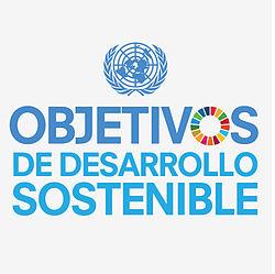 Los ODS recogen el proceso de acceso a la OCDE 87 de