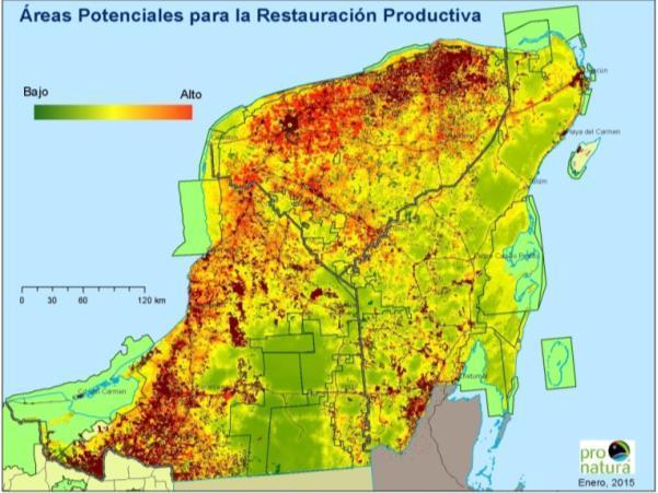 Hacia la restauración del paisaje productivo en la Península de Yucatán PPY LIGHTHAW K-IGH-81 En el marco del Bonn Challenge, movimiento global que busca restaurar 150 millones de hectáreas de