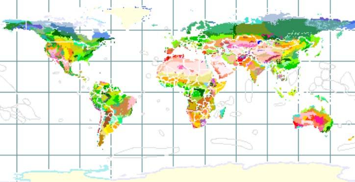 Principales grupos de animales Eco-regiones del mundo