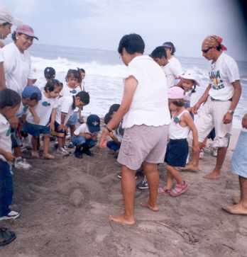 5. Se dieron platicas a grupos escolares y visitantes que llegaban al campamento sobre la biología de las tortugas marinas, que especies llegan a estas playas y la importancia de su conservación, con