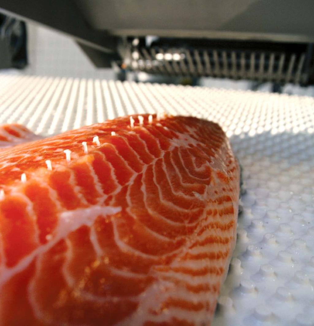 Despinadora de salmón Eliminación eficaz de espinas Despinado cuidadoso y confiable para maximizar el tiempo útil