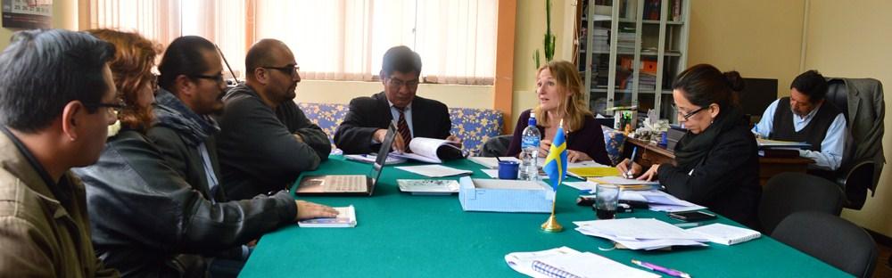 niveles de pregrado y postgrado tomando en cuenta al Comité Ejecutivo de la Universidad Boliviana (CEUB),