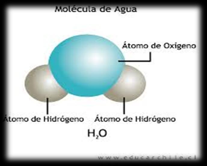EL AGUA Es una sustancia cuya molécula está formada por dos átomos de hidrógeno y