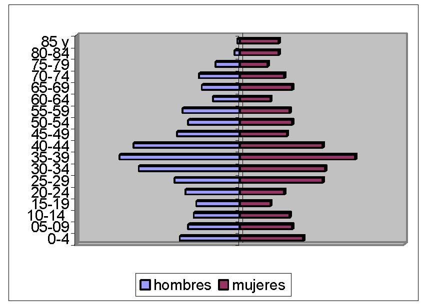 de 2004: Los datos de población por edades de la Ficha municipal del IVE adjuntos muestran