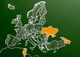 41 Países en etwinning Los 28 estados miembros de la Unión Europea + 7 países candidatos o con relación especial (Albania, Bosnia Herzegovina, ARY de Macedonia,