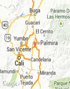 CIUDAD DE COMPETENCIA PALMIRA Valle del Cauca En el valle del Cauca, al oeste de Colombia, encontramos la ciudad de Palmira, también conocida como la Villa de las Palmas por la abundancia que hay en