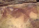 3. Análisis de grupos específicos de microorganismos en la Cueva de Altamira Bacterias