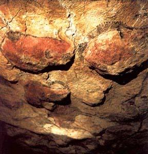 Introducción La cueva de Altamira posee pinturas paleolíticas de 14000 ± 500 años. La conservación de estas pinturas es muy importante.