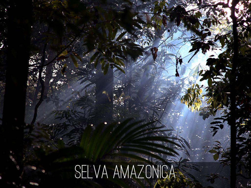 http://www.unique-southamerica-travel-experience.com/selva-amazonica.html Web móvil en... http://m.