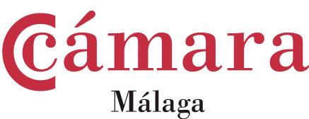 Contexto El Consejo Superior de Cámaras de Comercio, Industria y Navegación de España, junto con la Cámara de Comercio de Málaga, han puesto en marcha el programa Acciones Complementarias de
