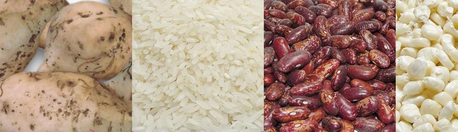 Arroz biofortificado con hierro En las Filipinas, 192 hermanas religiosas consumieron diariamente por 9 meses uno de dos tipos de arroz: Arroz biofortificado con 3.