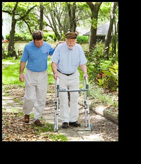 Necesidades de los Adultos Mayores Seguridad Social Acceso a pensiones Bienestar económico Servicios de Salud Acceso a servicios médicos Alimentación adecuada Distintos