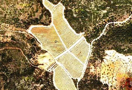 POLÍGONO 2 1997 2003 La fotografía aérea de 2003 muestra una superficie recién transformada de