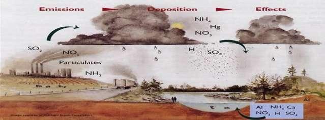 Composición del Aire Aire limpio Nitrógeno (N 2 ), Oxígeno (O 2 ), Vapor de agua (H 2 0), Dióxido de carbono (CO 2 ), Metano (CH 4 ), Argón, Neón, Helio, Hidrógeno Aire contaminado Dióxido