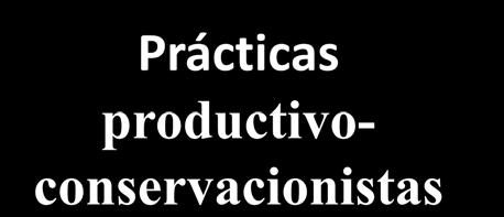 Prácticas productivoconservacionistas Efectividad Limitaciones de adopción Mecánicas Vegetativas