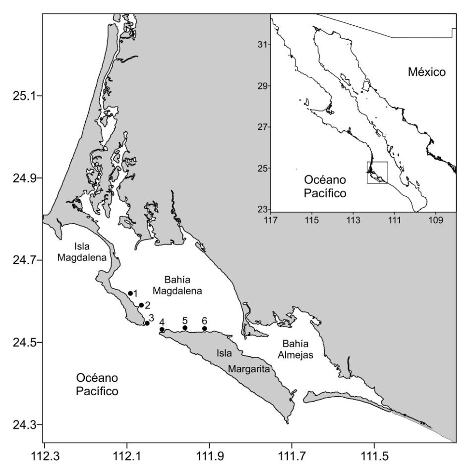 33 MATERIALES Y MÉTODOS Área de estudio Bahía Magdalena se localiza en la costa pacífica de la península de Baja California Sur (24 16 y 25 45 de latitud norte y 111 20 y 112 18 de longitud oeste).