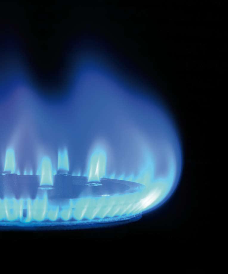 Gas Natural Fenosa Resultados A 31 de diciembre de 2011, Repsol poseía el 30% del Grupo Gas Natural Fenosa, que consolida por integración proporcional.