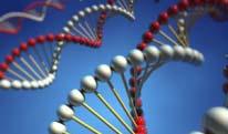 El DNA de la PMO: 6 Roles de la Oficina de Gestión de Proyectos 4.