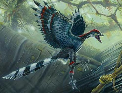 Tetrápodos aéreos La conquista del medio aéreo por parte de los tetrápodos supone unos importantes cambios adapta=vos que se ha dado pocas veces en el registro fósil (pterosaurios, aves y